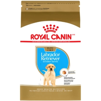 bhn-labrador-retriever-puppy-1363kg