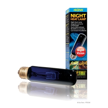 exo-terra-foco-night-glo-40-w