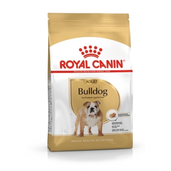 royal-bulldog-adulto-1363-kg