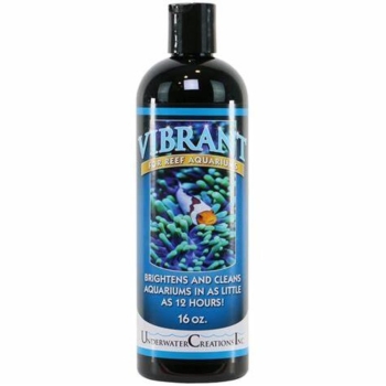 underwater-vibrant-para-arrecife-16-oz
