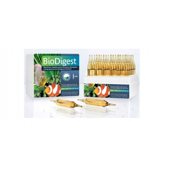 PRODIBIO BIODIGEST 30 AMPOLLETAS  (BACTERIA)