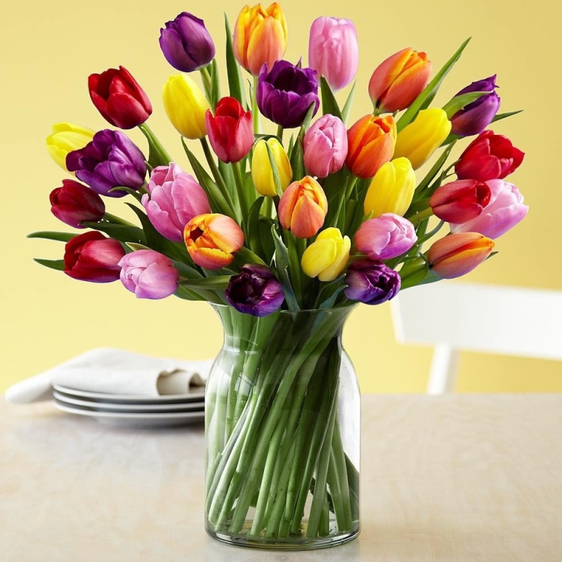 Bouquet Tulipanes - MyStore Xpress - Tienda Demo - Tienda Demo MyStore  Xpress. ¡Vende por Internet!