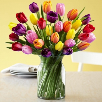 Bouquet Tulipanes