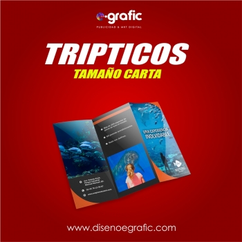TRIPTICOS