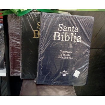 Biblia RVR60 Letra Gigante Vinil Concordancia PJR