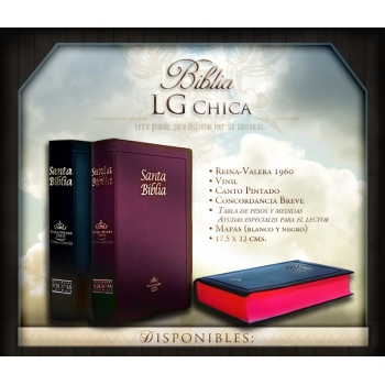 Biblia RVR1960 Chica Letra Grande Vinil Concordancia