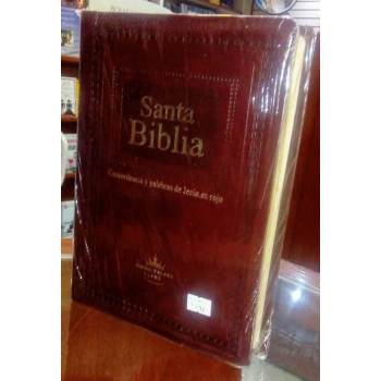 Biblia Letra Gigante Relieve Lujo Cafe - Negra