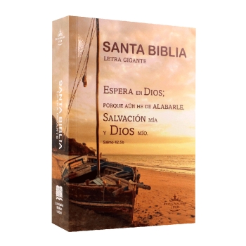 Biblia Reina Valera 1960 Mediana Letra Gigante Rústica