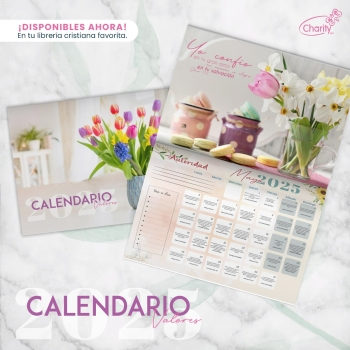 Calendario Valores 2025 Bodegones Charity