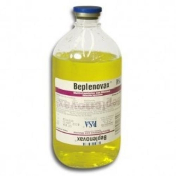 BEPLENOVAX (GLUCOSA/TIAMINA/RIBOFLAVINA/NICOTINAMIDA/PIRIDOXINA) 500ML SOLUCION INYECTABLE