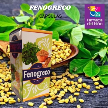 FENOGRECO 500MG CON 60 CAPSULAS