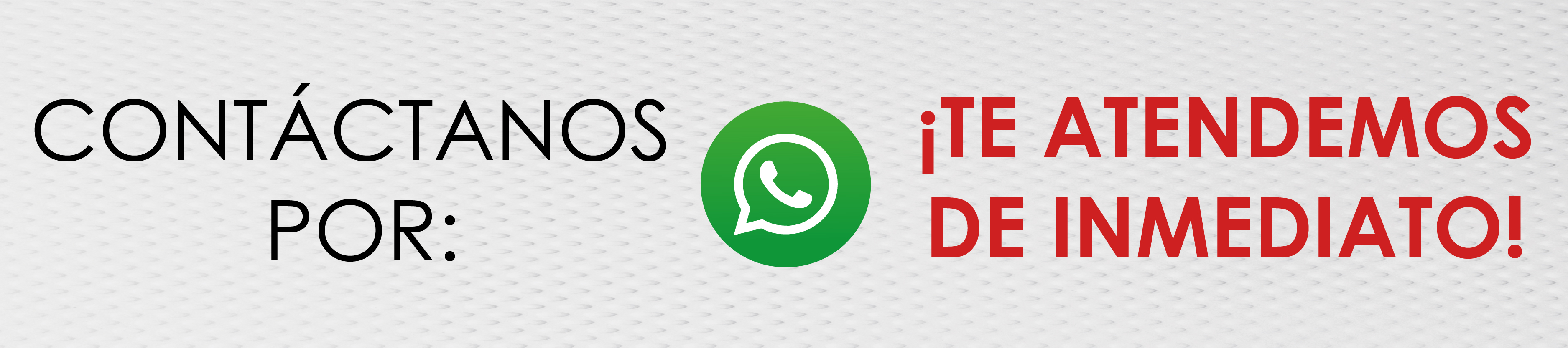 Contacto WhatsApp
