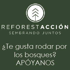 REFORESTACCION