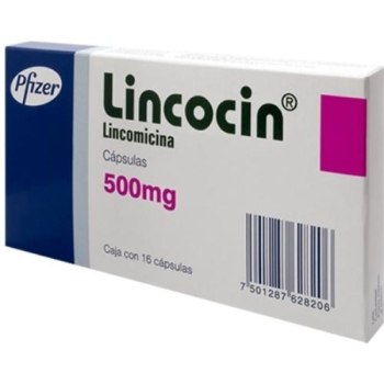 LINCOCIN (LINCOMYCIN) 500 MG 16 CAPS