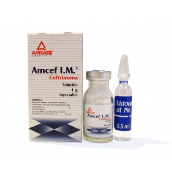 AMCEF SOL 1.0GR *THIS PRODUCT IS ONLY AVAILABLE IN MEXICO