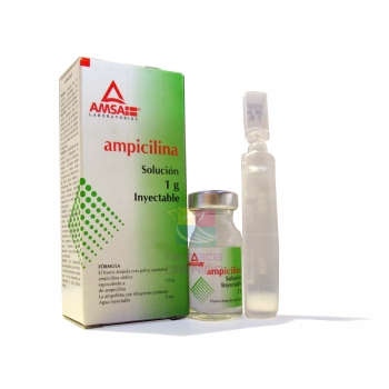 AMPICILINA GI 1G / 5 ML 1 AMP