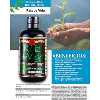 RAIZ DE VIDA JUGO VERDE 1000ML