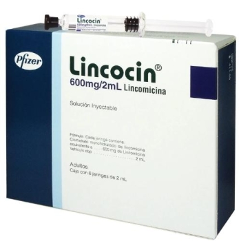 LINCOCIN (LINCOMYCIN) 600MG/2ML SOL. INY  *THIS PRODUCT IS ONLY AVAILABLE IN MEXICO