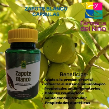 WHITE ZAPOTE (Ener Green) 500MG 60 CAPSULES
