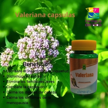 VALERIAN (Ener Green) 500MG 60 CAPSULES