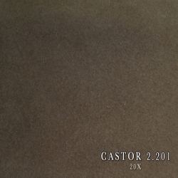 BEAVER 2.201