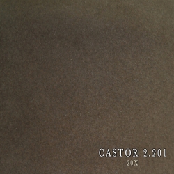 CASTOR 2.201