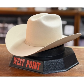 texana-200x-atejanada-silverbelly