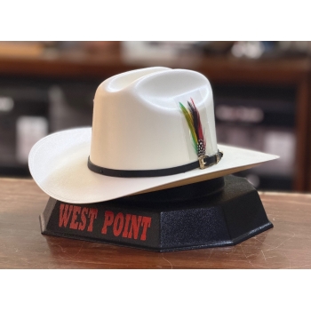 sombrero-10000-diamantes-sinaloa-9